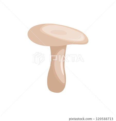 Milk mushroom on a white background. Vector illustration. Milk mushroom on a white background. Vector illustration. 120588713