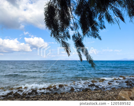 Beautiful Shoreline With Clear Blue Water and Gentle Waves Under a Sunny Sky in a Coastal Location 120589582