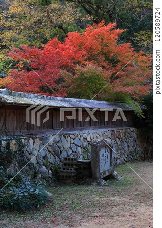 This is a photo of autumn leaves at Buttsuji Temple in Mihara City, Hiroshima Prefecture. This is a photo of autumn leaves at Buttsuji Temple in Mihara City, Hiroshima Prefecture. 120589724