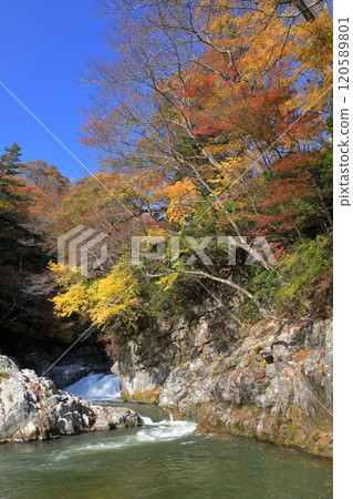 秋葉染紅的夏井川流域 120589801