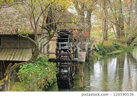 Autumn in Azumino: Watermill at Daio Wasabi Farm Autumn in Azumino: Watermill at Daio Wasabi Farm 120590536