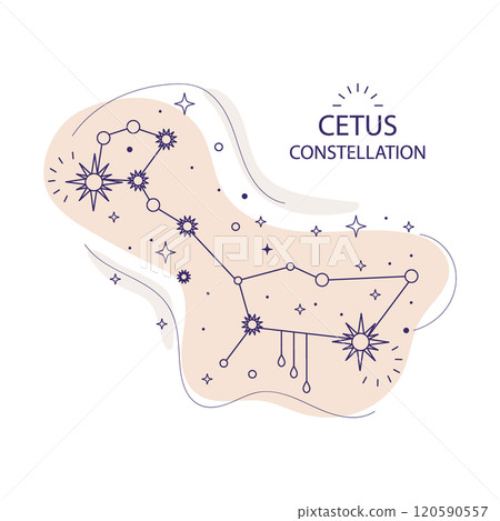 Star constellation Setus vector illustration Star constellation Setus vector illustration 120590557