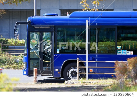 Route bus image Route bus image 120590604