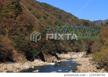 383 Series Shinano Express crossing the Kiso River in late autumn_Photo taken on 2024/11/23 120590793
