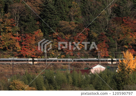 穿過木曾路的383系特快列車“信濃號”，染上秋葉_拍攝於2024年11月23日 120590797