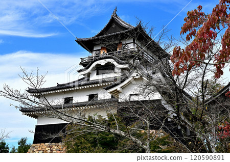 Inuyamajo castle tower 120590891