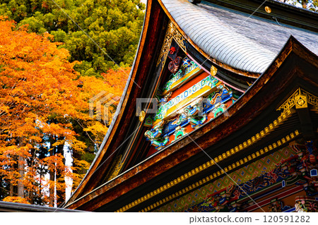 Brightly decorated shrines and temples and autumn leaves 120591282