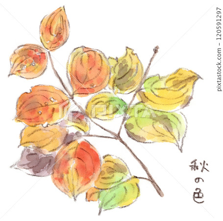 Autumn leaves watercolor illustration 120591297