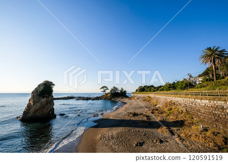 Tateishi Park in Yokosuka, Kanagawa Prefecture 120591519