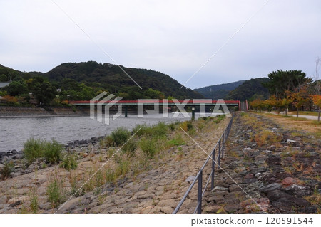 View of Asagiri Bridge and Uji Shrine from Tachibanajima, an island in the Uji River (Uji City, Kyoto Prefecture) 120591544