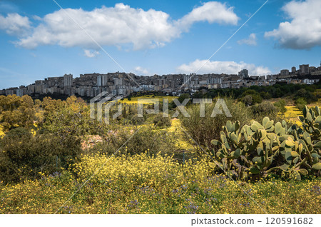 A vibrant field of yellow flowers, with a city in the background A vibrant field of yellow flowers, with a city in the background 120591682