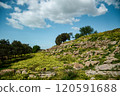 A beautiful grassy hillside adorned with trees and clouds in the background 120591688