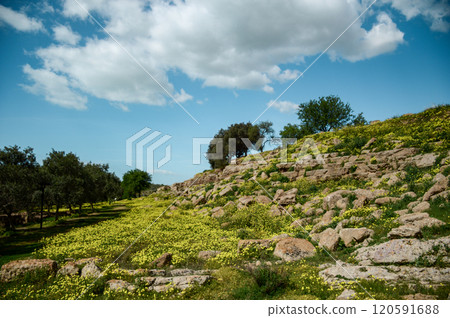 A beautiful grassy hillside adorned with trees and clouds in the background 120591688