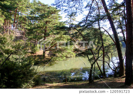 三階段池塘公園 三階段池塘公園 120591723