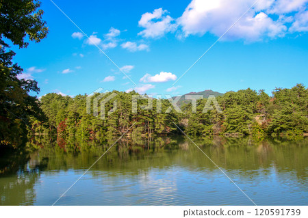Three-stage pond park 120591739