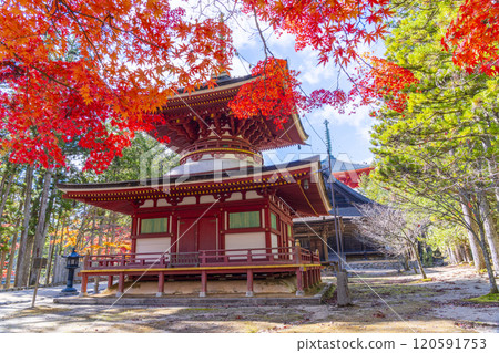 紅葉覆蓋的高野山團上伽藍東塔 120591753