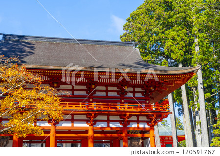 Mount Koya: Danjo Garan: The inner gate surrounded by autumn leaves 120591767