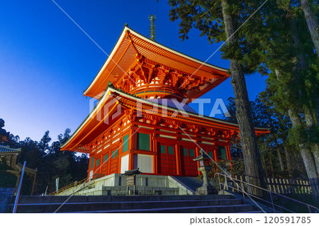 高野山團上伽藍根本大東彩燈 高野山團上伽藍根本大東彩燈 120591785