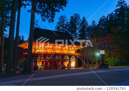 Koyasan Danjo Garan Chumon Gate Illumination Koyasan Danjo Garan Chumon Gate Illumination 120591791