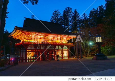 Koyasan Danjo Garan Chumon Gate Illumination Koyasan Danjo Garan Chumon Gate Illumination 120591792