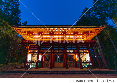Koyasan Danjo Garan Chumon Gate Illumination 120591793