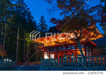 高野山壇城伽藍中門亮燈 120591795