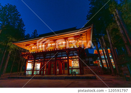 Koyasan Danjo Garan Chumon Gate Illumination 120591797