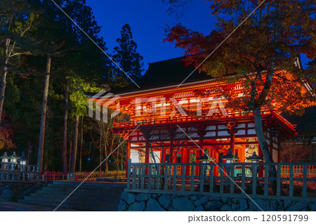 高野山壇城伽藍中門亮燈 120591799
