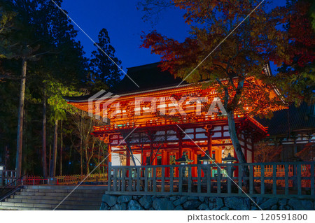 高野山壇城伽藍中門亮燈 120591800