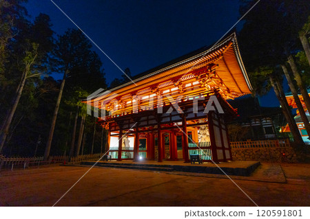 高野山壇城伽藍中門亮燈 120591801