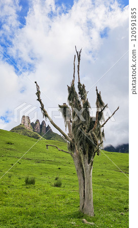Scenic beauty of Soldados Sebold, destination in Santa Catarina, Brazil. 120591855
