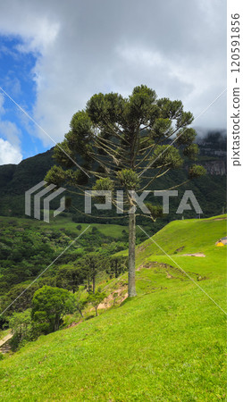 Scenic beauty of Soldados Sebold, destination in Santa Catarina, Brazil. 120591856