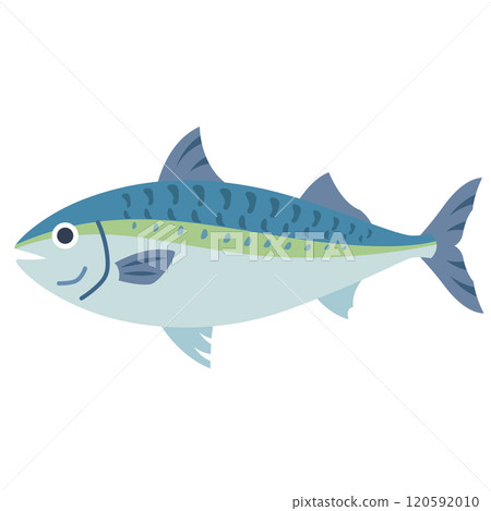 魚，新鮮的魚，海 120592010
