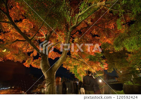 秋葉被點燃了 120592424