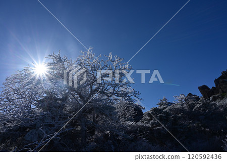 Mt. Hayachine where frost flowers bloom Mt. Hayachine where frost flowers bloom 120592436