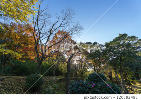 Autumn scenery at Aoidake Nature Park 120592483