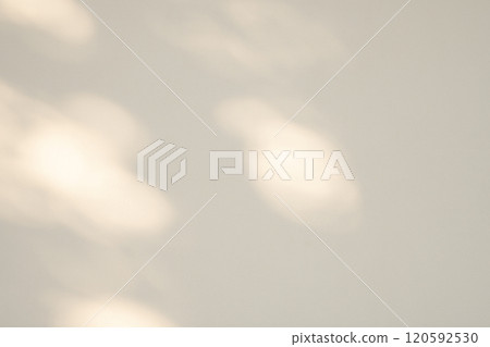 Sunlight filtering through the trees illuminating the white wall a-2-3 Bright 120592530