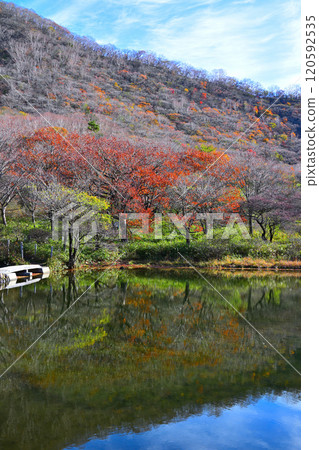 View from the promenade at Kakumanbuchi, late autumn foliage 120592535