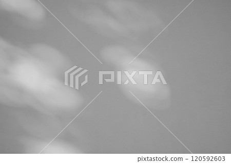 Sunlight filtering through the trees illuminating the white wall a-4-2 monochrome 120592603