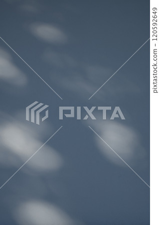 陽光透過樹林照耀著白色的牆壁 b-1-1 冷色 深色 120592649