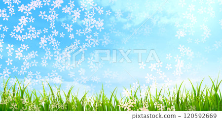 Japanese pattern New Year's card Cherry blossom background 120592669