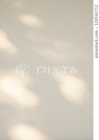 Sunlight filtering through the trees illuminating the white wall b-2-3 Bright 120592712