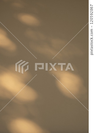 Sunlight filtering through the trees illuminating the white wall b-3-1 Warm, dark colors Sunlight filtering through the trees illuminating the white wall b-3-1 Warm, dark colors 120592867