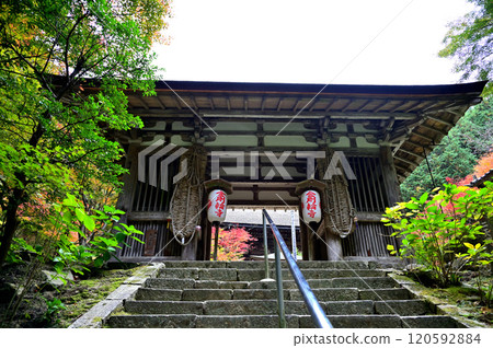 金剛林寺 二天門 金剛林寺 二天門 120592884