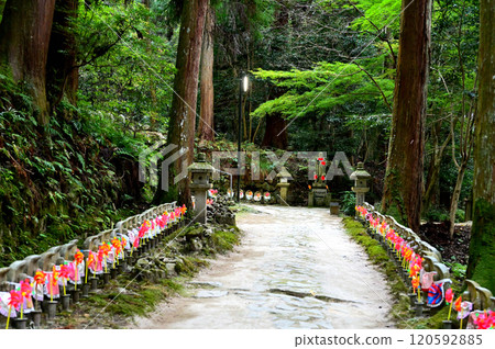金剛林寺參道 金剛林寺參道 120592885