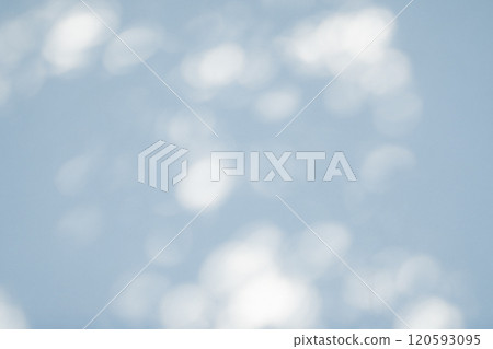 陽光透過樹林照耀著白色的牆壁 c-1-3 冷色 明亮 120593095