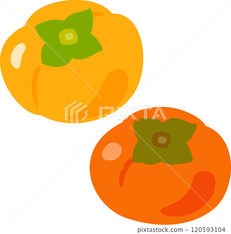 Hard persimmons and ripe soft persimmons Hard persimmons and ripe soft persimmons 120593104
