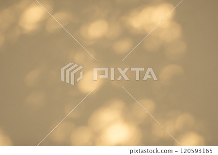 陽光透過樹林照耀著白色的牆壁 c-3-2 暖色 陽光透過樹林照耀著白色的牆壁 c-3-2 暖色 120593165