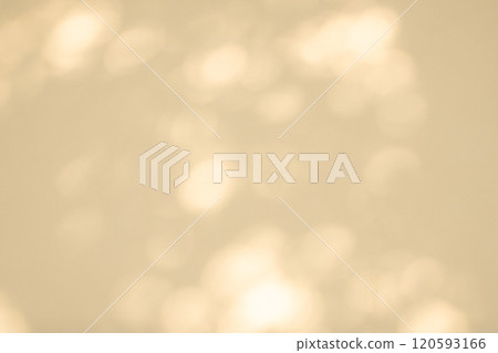 Sunlight filtering through the trees illuminating the white wall c-3-3 Warm, light color Sunlight filtering through the trees illuminating the white wall c-3-3 Warm, light color 120593166