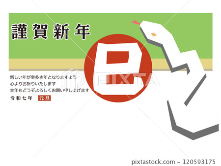 新年插畫蛇年明信片模板簡約時尚蛇插畫 120593175